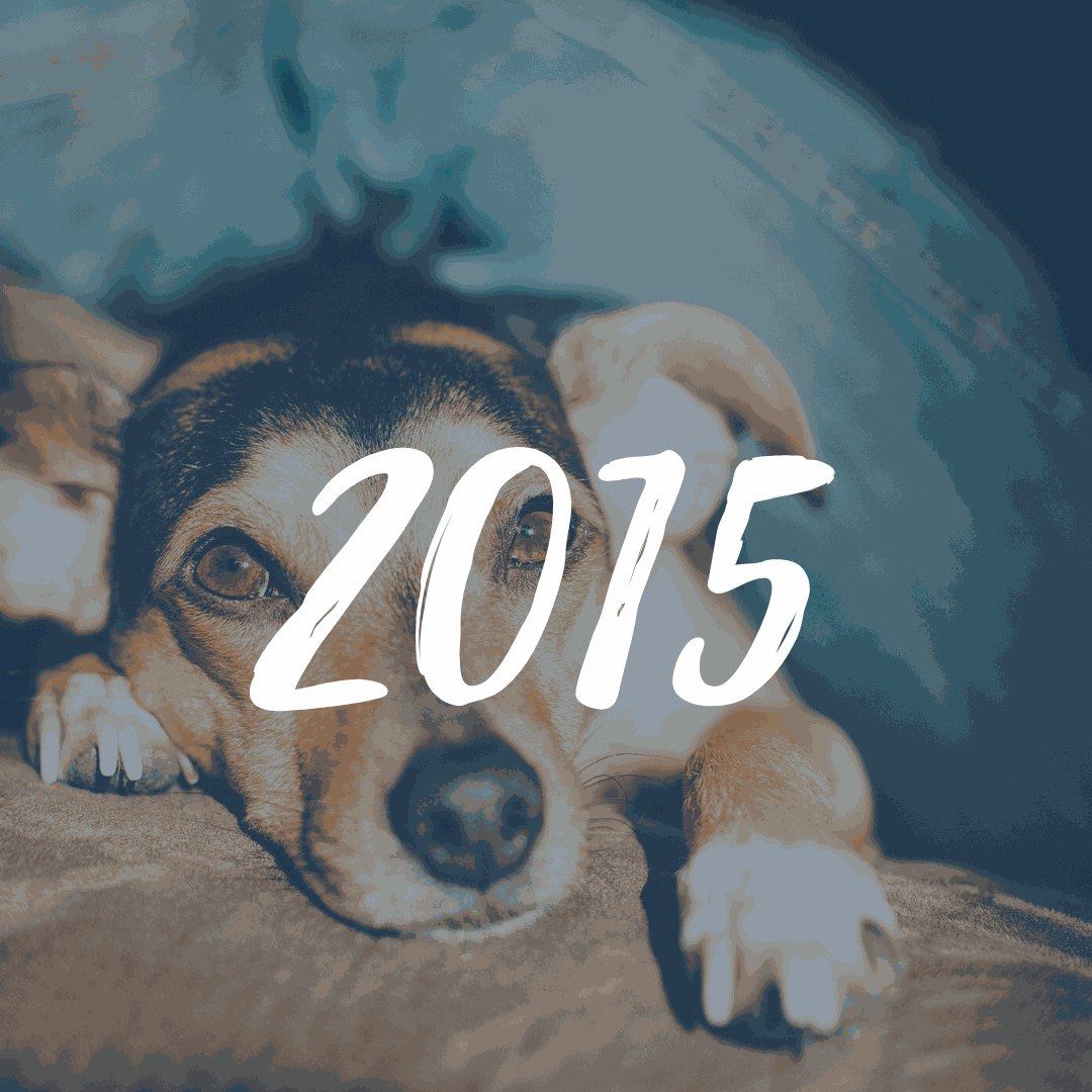 maxxipaws charities in 2015