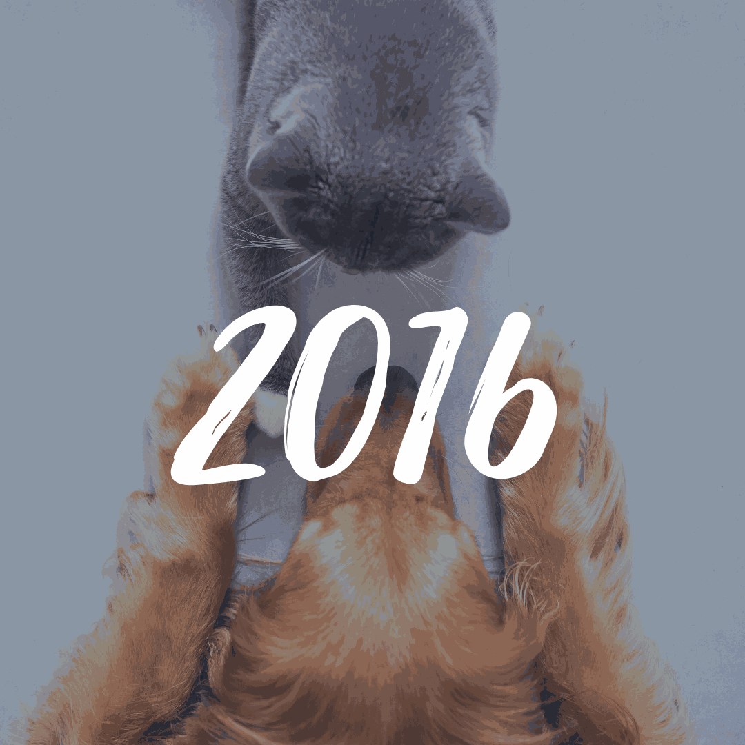 maxxipaws charities in 2016