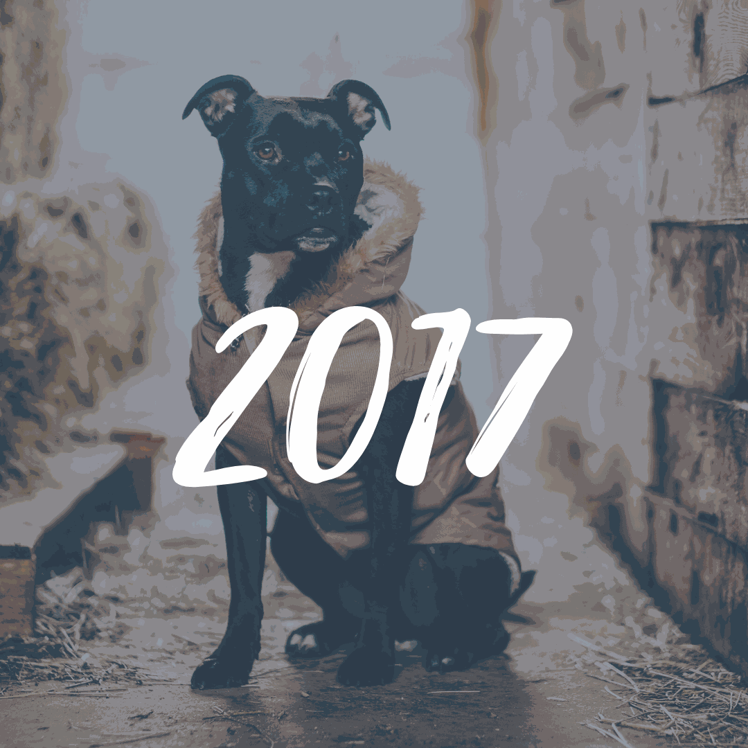 maxxipaws charities in 2017