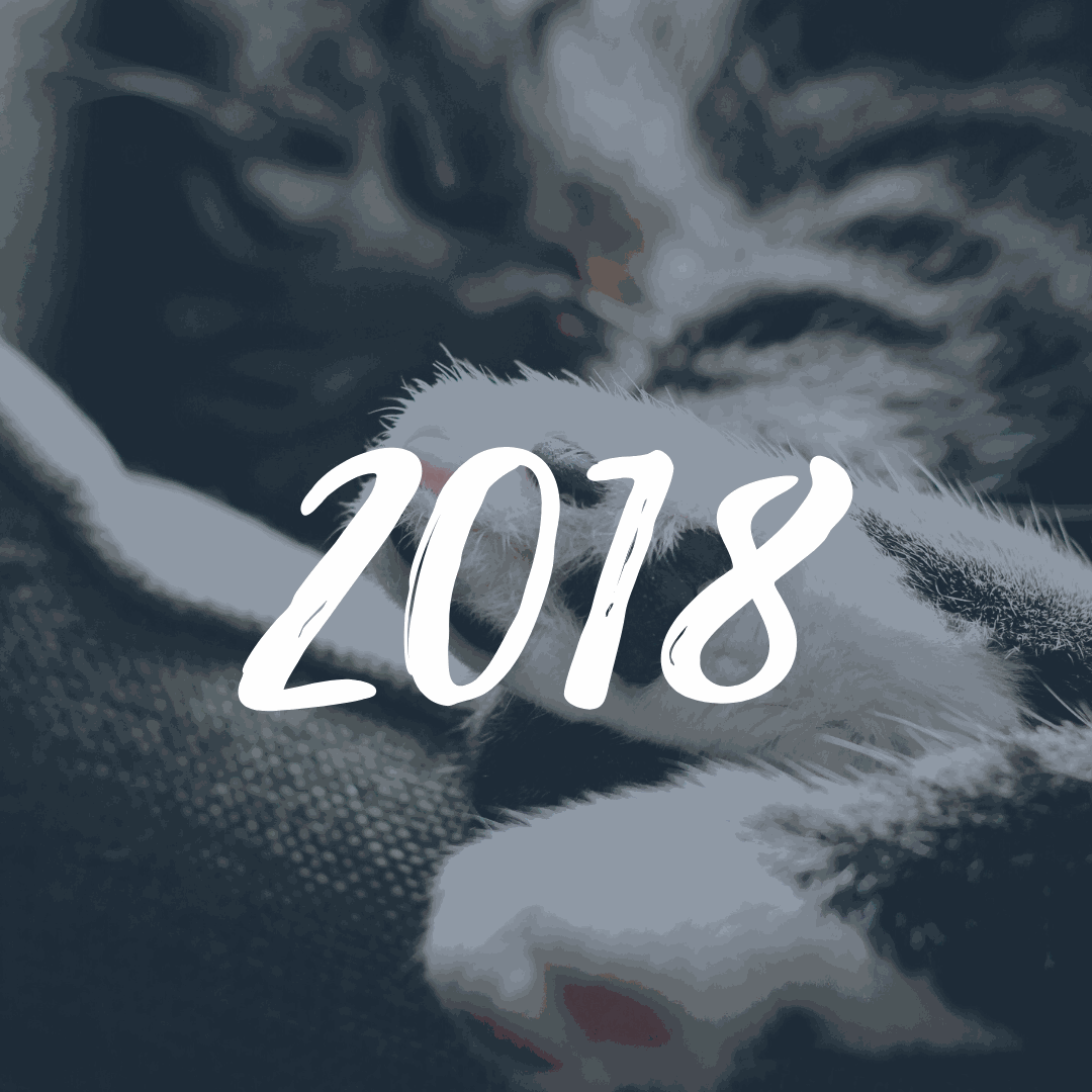 maxxipaws charities in 2018