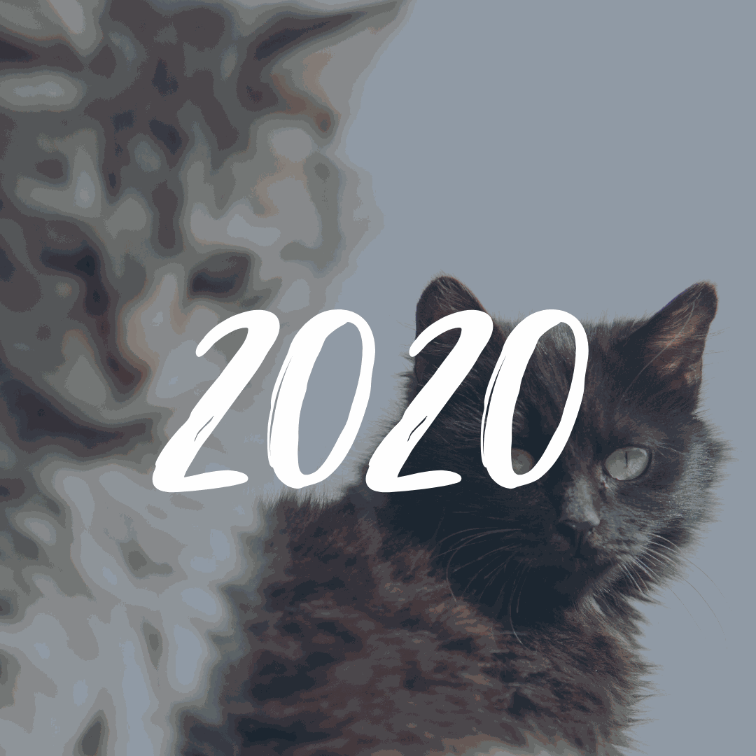 maxxipaws charities in 2020