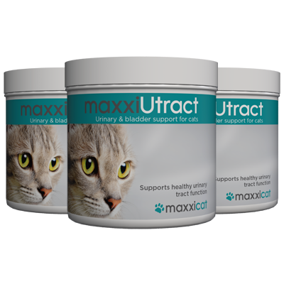 maxxiutract urinary and bladder support for cats from maxxipaws