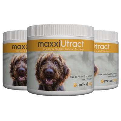 maxxiUtract urinary and bladder support for dogs can help with urinary tract infection recurrance