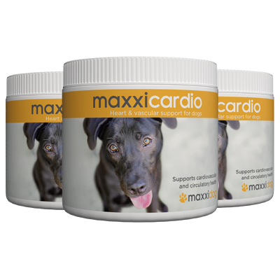 Bottles of maxxicardio cardiovascular and heart support for dogs