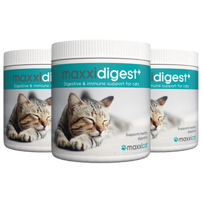 maxxidigest+ digestive and immune support for cats from maxxipaws