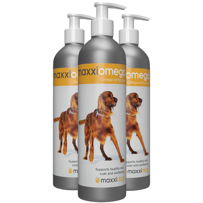 maxxiomega oil for dogs for healthy skin and shiny coat