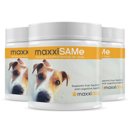 maxxiSAMe liver and cognitive supplement for dogs from maxxipaws