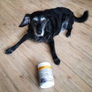 Maena is a 13 year-old that uses maxxidigest+ for dogs to keep her healthy and happy