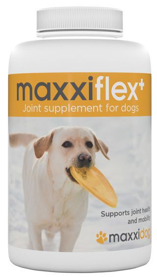 The benefits of maxxiflex+ dog joint supplement