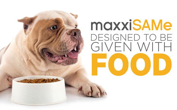 maxxiSAMe SAM-e for dogs given with food