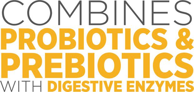maxxidigest+ probiotics prebiotics and digestive enzymes for dogs
