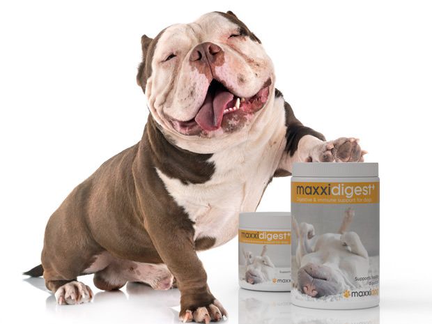 maxxidigest+ digestive and immune support for dogs is available in two sizes