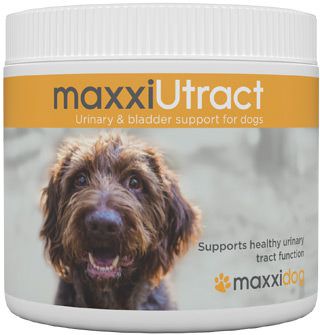 Benefits of maxxiUtract urinary and bladder support for dogs