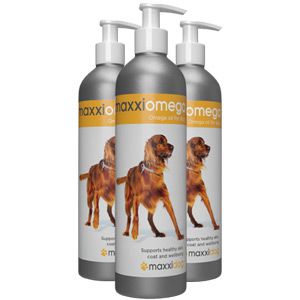 maxxiomega omega oil for dogs for healthy skin and shiny dog coat