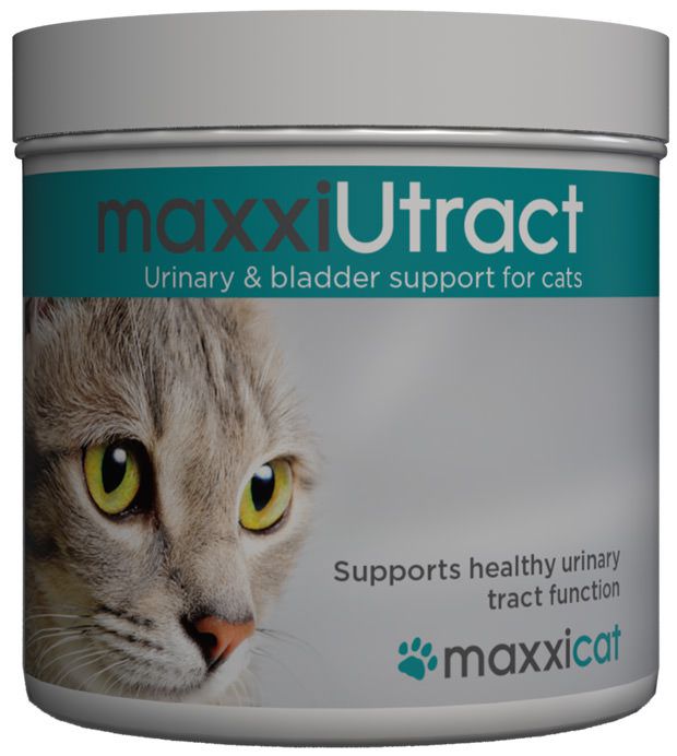 The benefits of maxxiUtract urinary and bladder support for cats