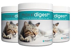 Bottles of maxxidigest+ digestive and immune support for cats