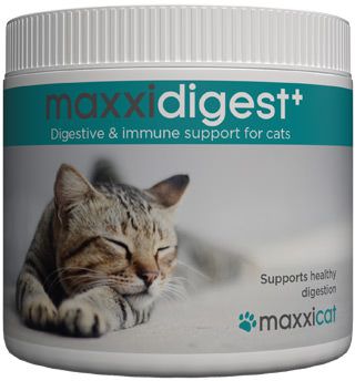 Benefits of maxxidigest+ digestive and immune support for cats
