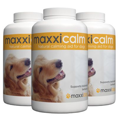 maxxicalm non drowsy calming tablets for dogs