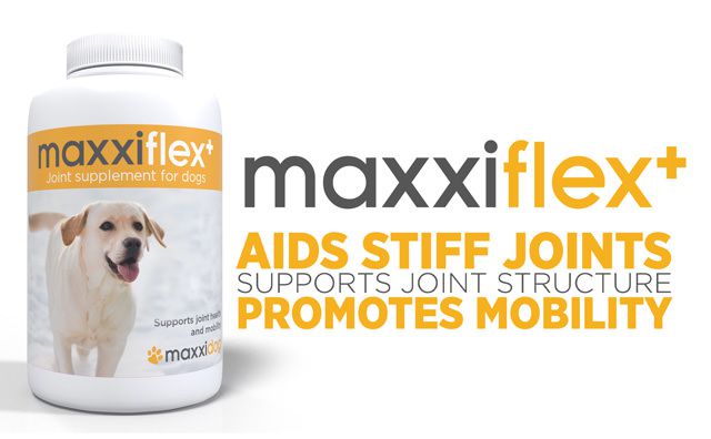 maxxiflex+ dog joint supplement aids stiff joints, supports joint structure and promotes mobility