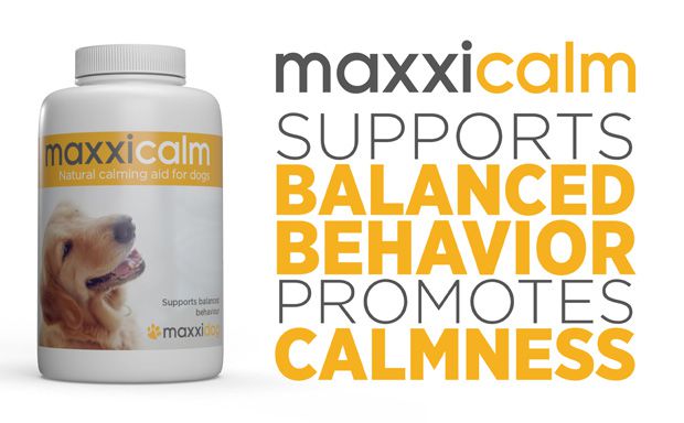 maxxicalm non drowsy calming aid for dogs