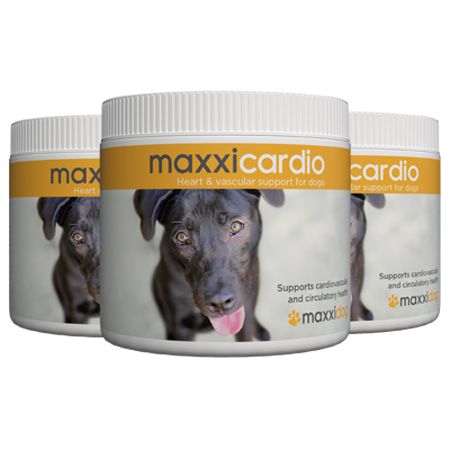 maxxicardio cardiovascular and heart support for dogs from maxxipaws