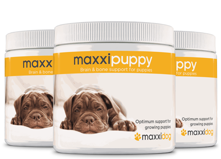 maxxipuppy brain and bone support for puppies from maxxipaws