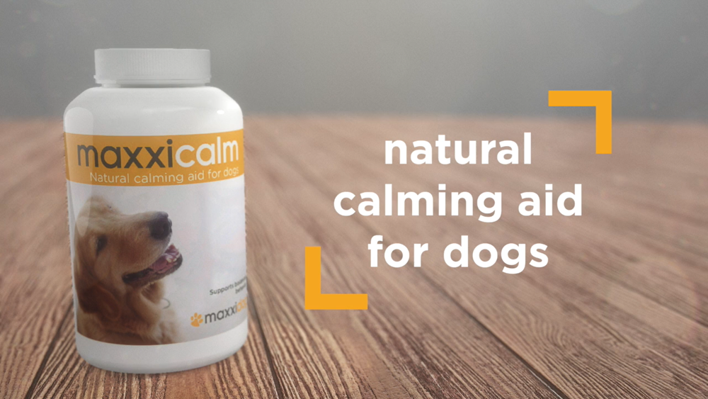 Bottle of maxxicalm natural calming aid for dogs from maxxipaws
