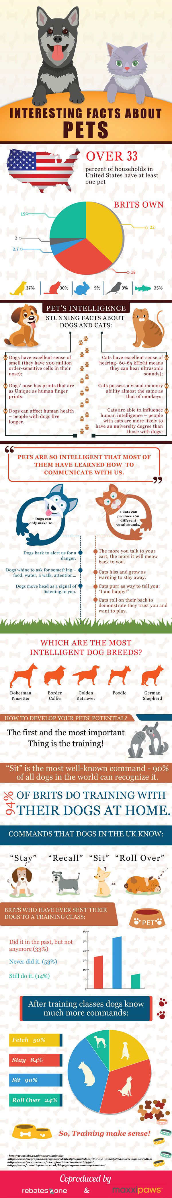 Interesting facts about pets from maxxipaws