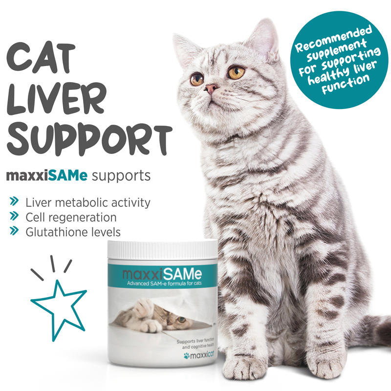 maxxiSAMe liver supplement for cats