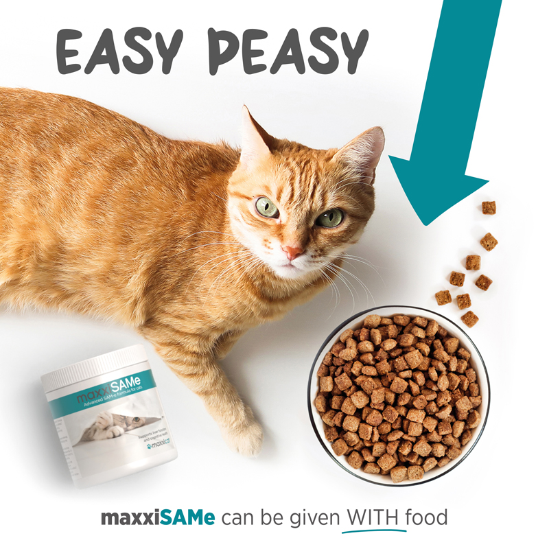 maxxiSAMe cognitive function supplement for cats