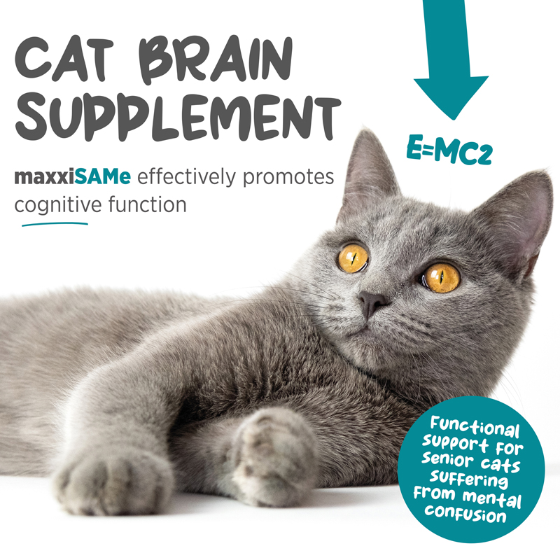 maxxiSAMe powder for cats can be given with food