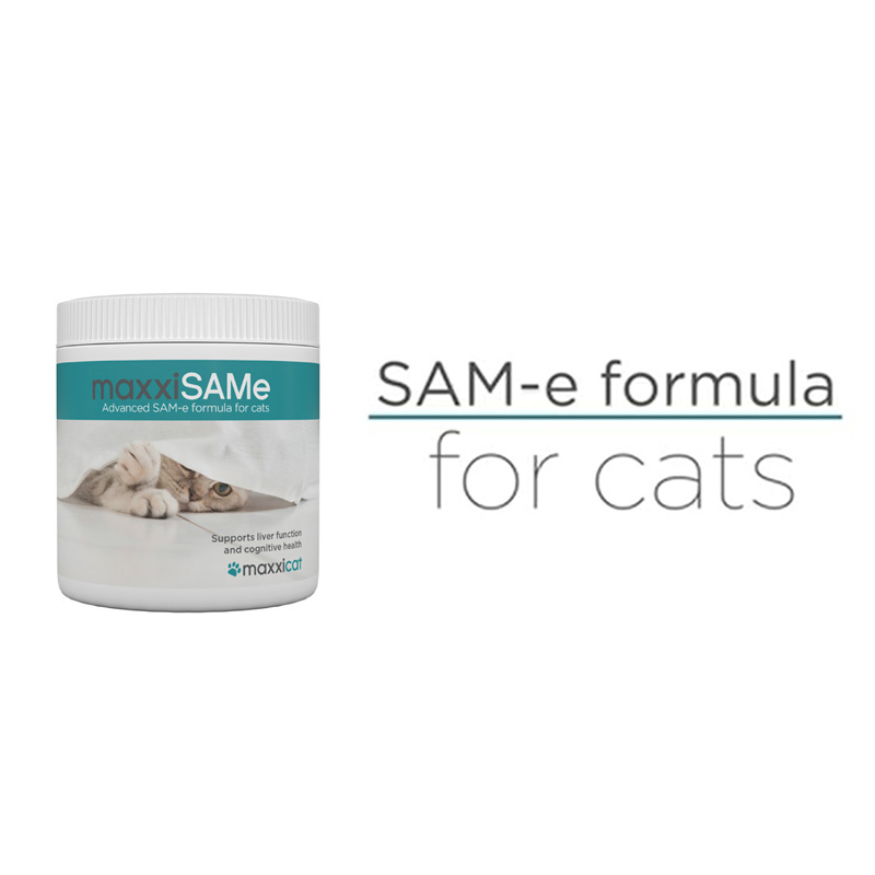 Supports feline liver, joint and cognitive health