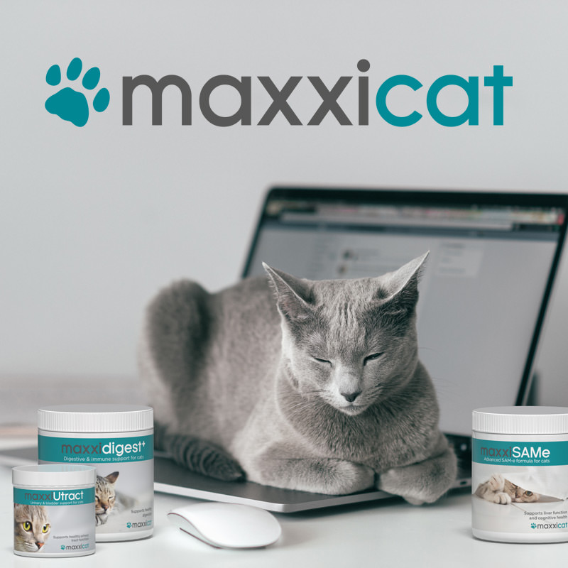 maxxicat health supplements from maxxipaws