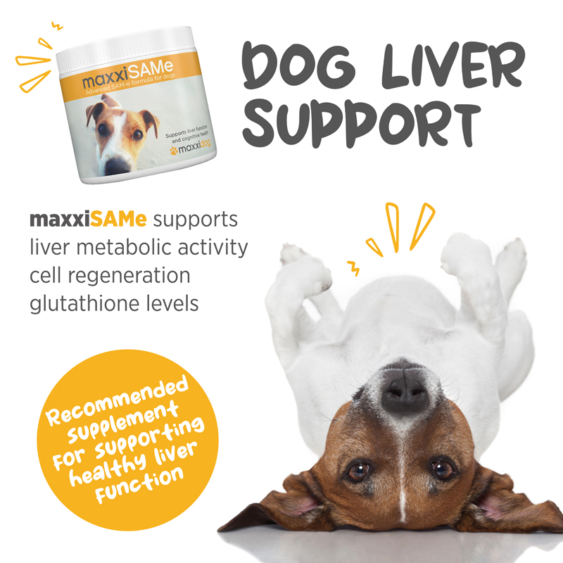 maxxiSAMe liver supplement for dogs