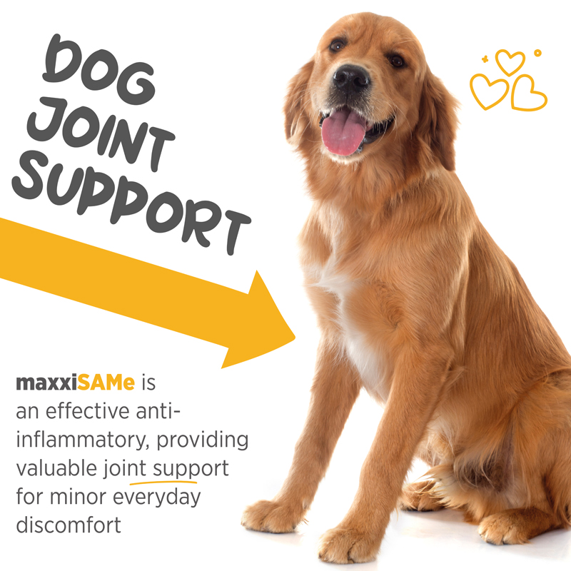 maxxiSAMe supports canine joint health