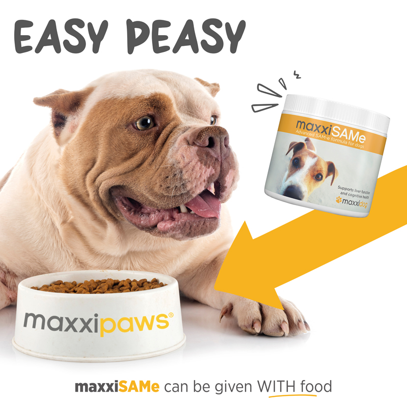 maxxiSAMe powder for dogs can be given with food