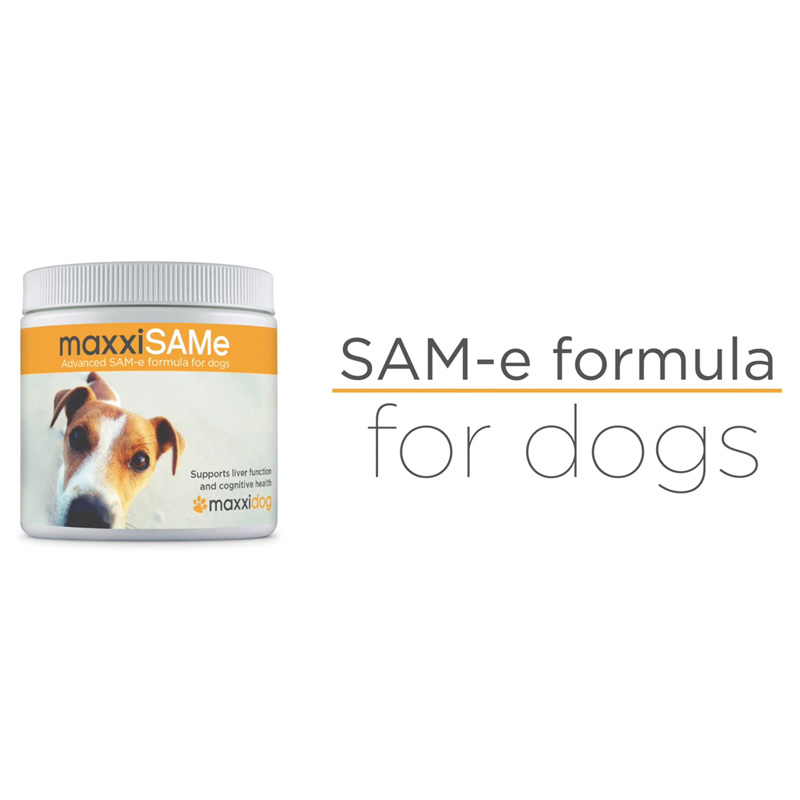 Video about maxxiSAMe SAM-e liver and cognitive support for dogs
