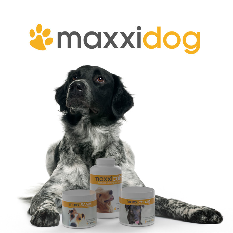 maxxiSAMe SAM-e liver and cognitive support for dogs with other maxxidog health supplements from maxxipaws
