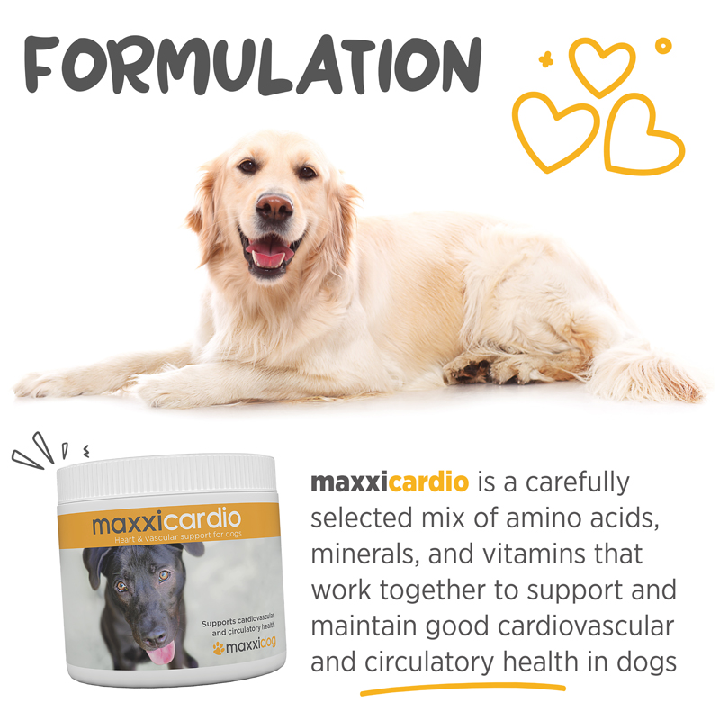 Easy to administer powder for dogs