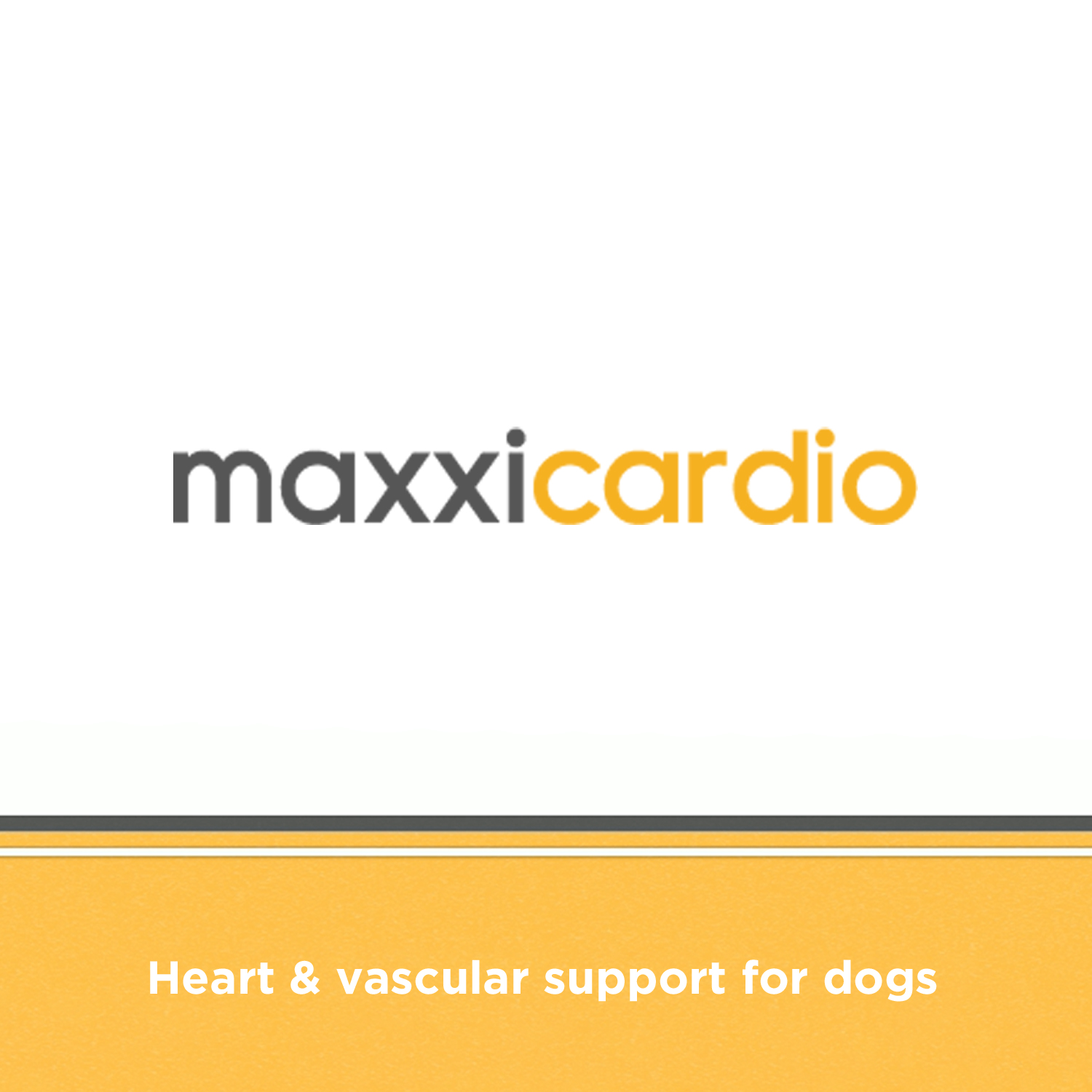 best heart support for dogs