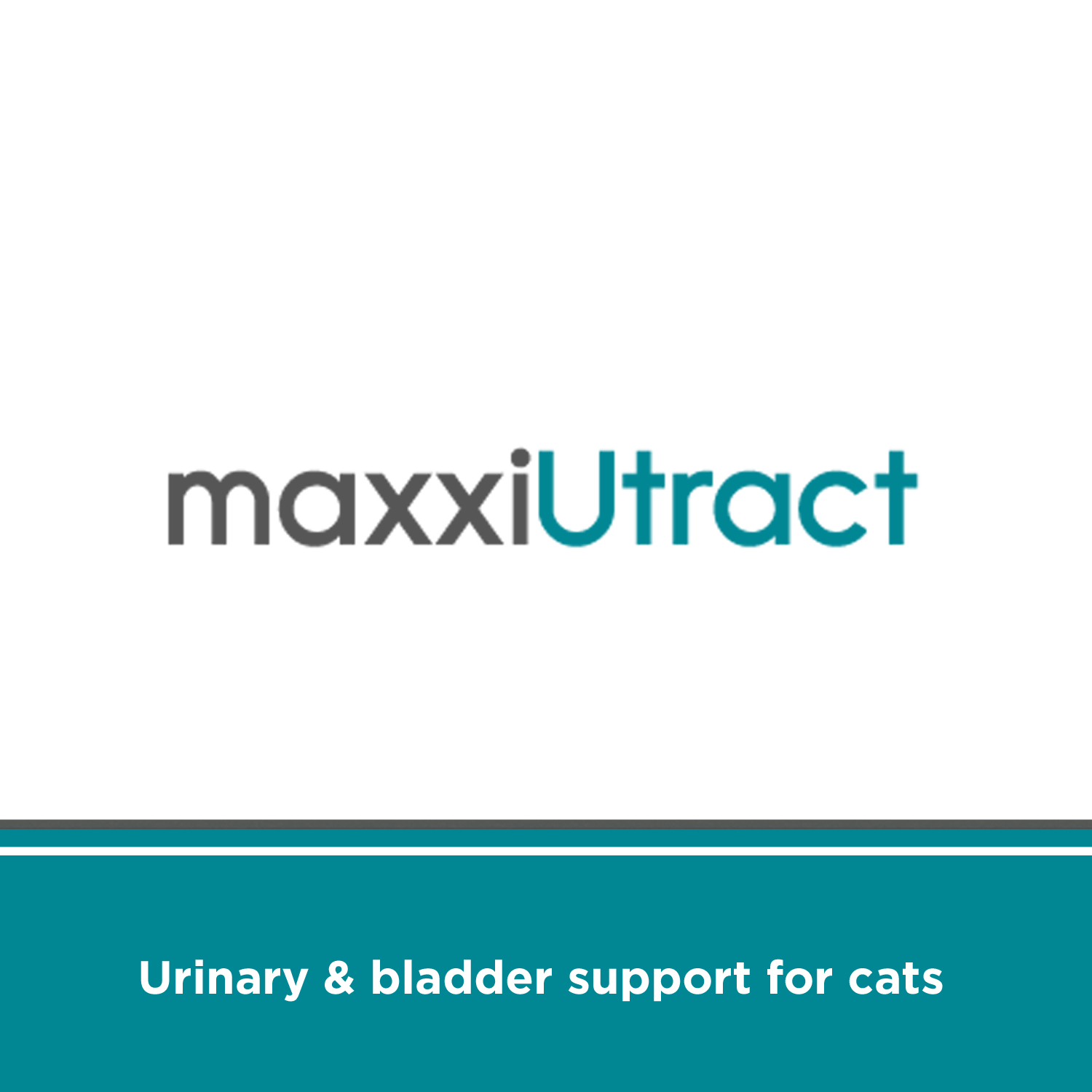 Support the whole feline urinary system
