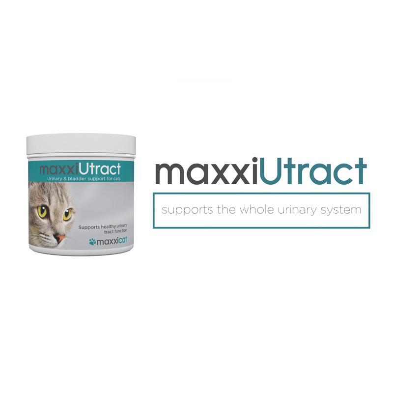 maxxiUtract urinary and bladder support for cats video