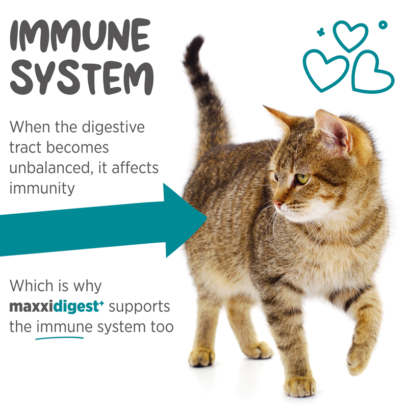 maxxidigest digestive support for all cats