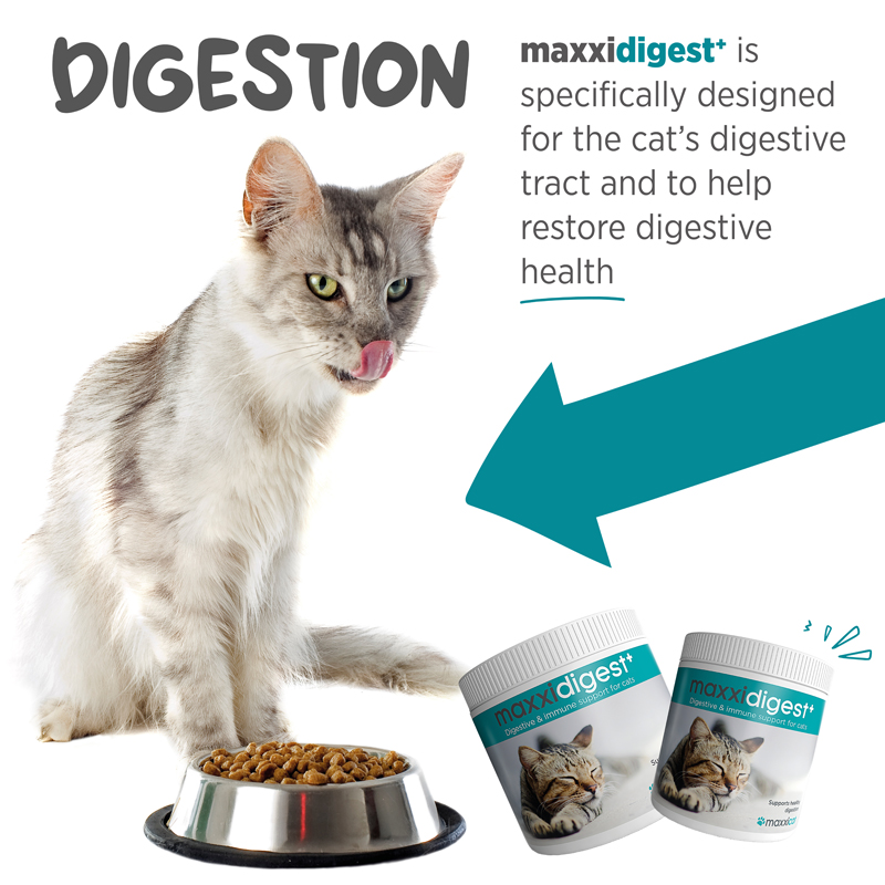 maxxidigest powder for cats