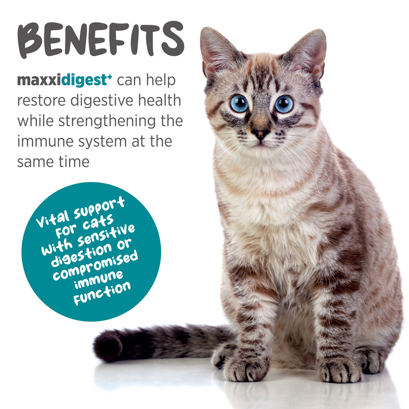 maxxidigest probiotics for cats