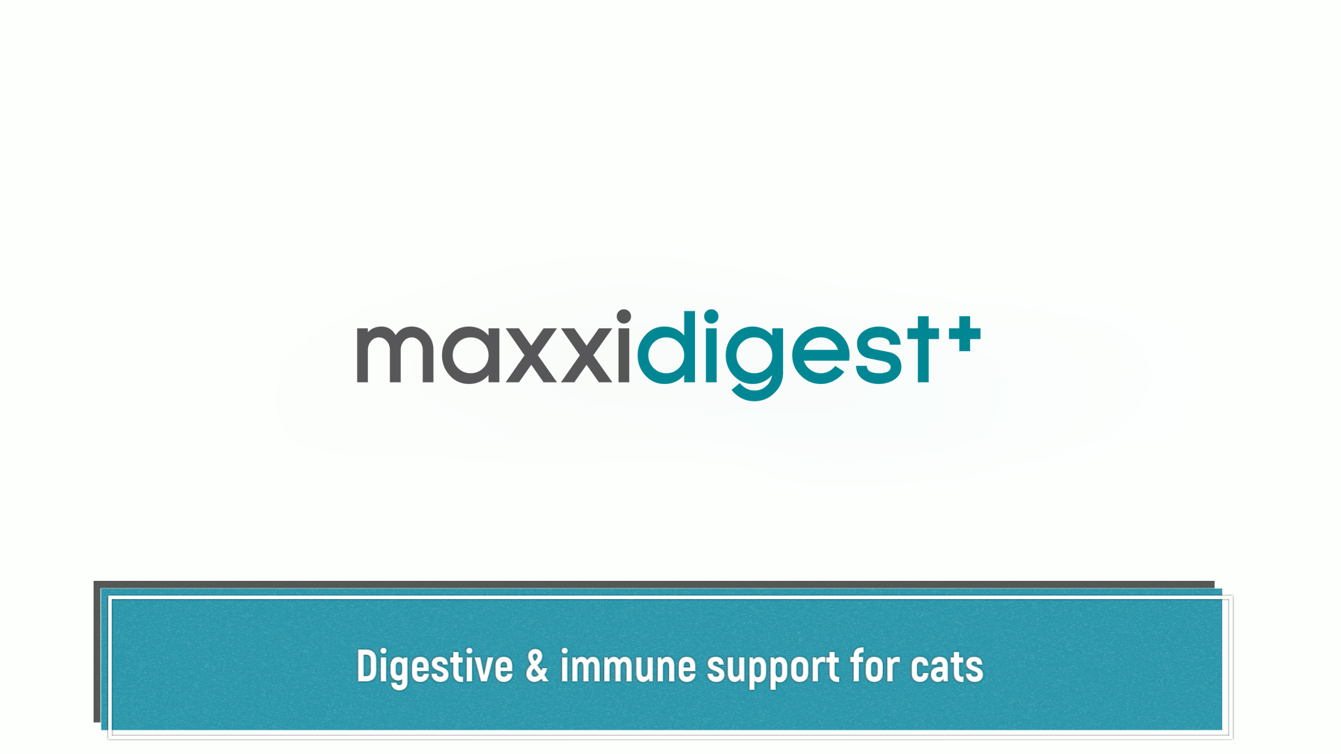 Feline probiotics, prebiotics and digestive enzymes for cats