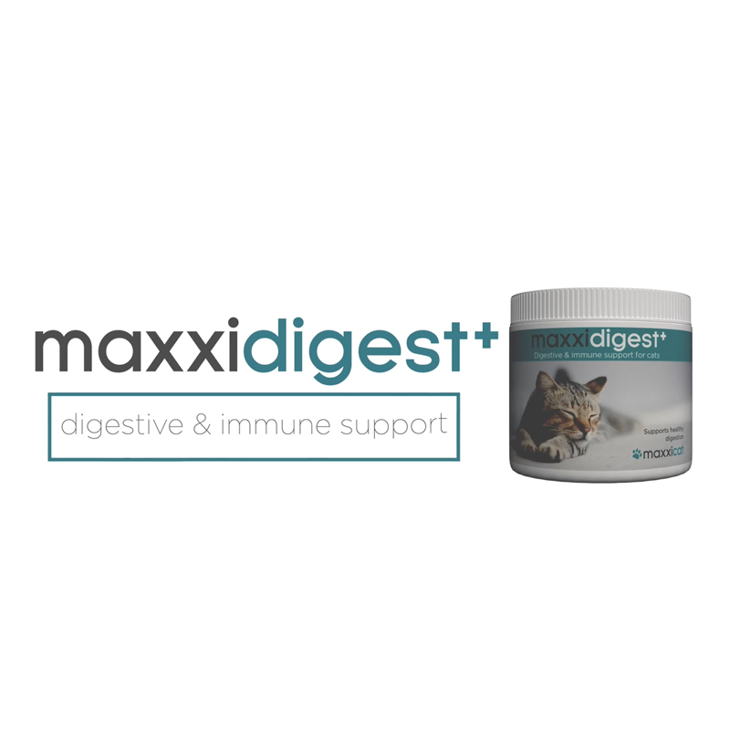 maxxidigest+ probiotics and digestive enzymes for cats video