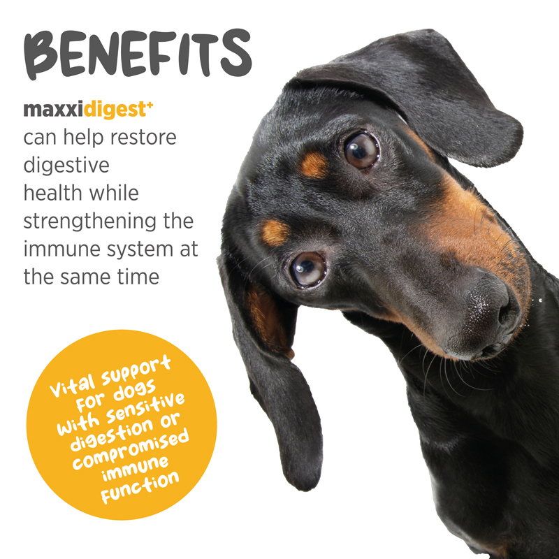 maxxidigest probiotics for dogs