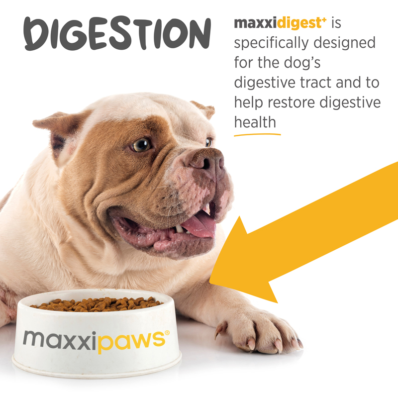 maxxidigest powder for dogs