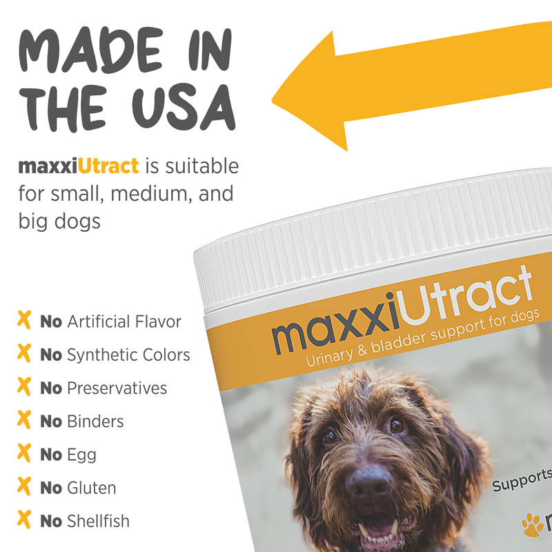 Urinary and bladder support for dogs
